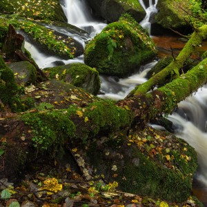 Šumava